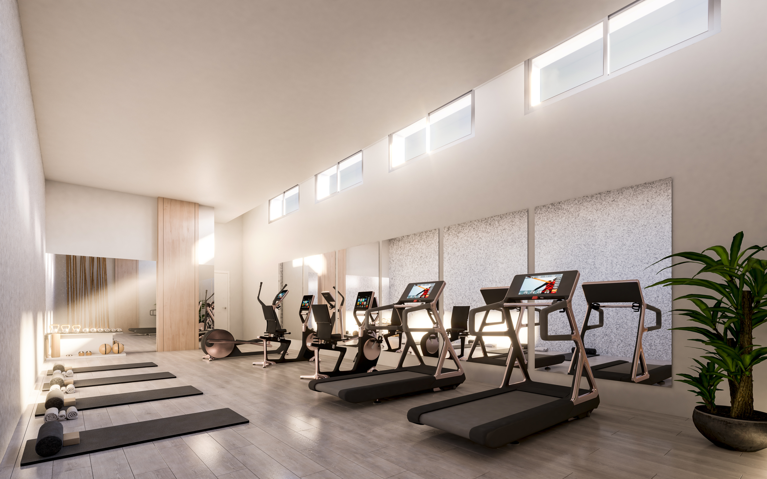 ManeResidence_gym_hd.0000 copia NO USAR